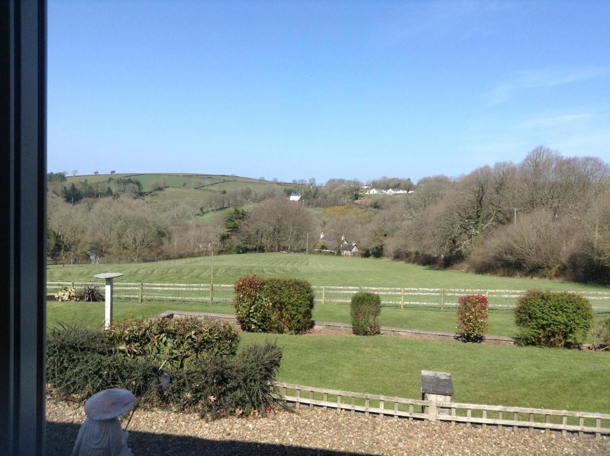 3 Bed Cottage With Hot Tub & Near New Quay Wales Llandysul Kültér fotó